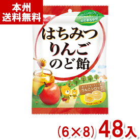 ノーベル 110g はちみつりんごのど飴 (6×8)48入 (はちみつ リンゴ キャンディ のどあめ) (Y12)(ケース販売) (本州送料無料)