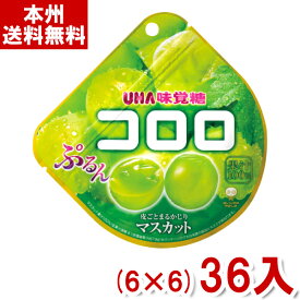 味覚糖 48g コロロ マスカット (6×6)36入 (グミ) (Y10) (本州送料無料)
