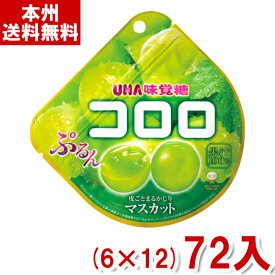 味覚糖 48g コロロ マスカット(6×12)72入 (Y10)(ケース販売) (本州送料無料)