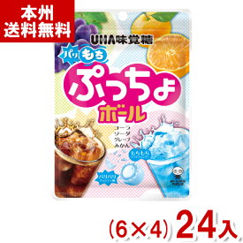 味覚糖 55g ぷっちょボール (6×4)24入 (ソフトキャンディ キャンデー アソート お菓子 景品) (Y80) (本州送料無料)