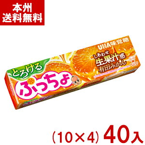 o 10 ՂXeBbN Ƃ낯Lc݂ (10×4)40 (~J \tgLfB َq) (Y60) ({B)