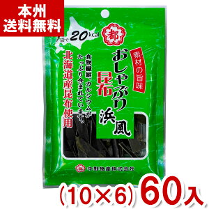 앨Y 9g Ԃ荩zl (10×6)60ܓ (͂܂ z ܂ َq  ܂Ƃߔ) (Y80) ({B)