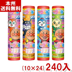 s 23g Ap}~j~jl e (10×24)240 (Y10)(2P[X̔) ({B)