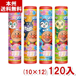 s 23g Ap}~j~jl e (10×12)120 (Y80)(P[X̔) ({B)