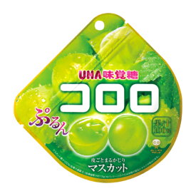 味覚糖 コロロ マスカット 48g×6入 (グミ お菓子 おやつ まとめ買い)