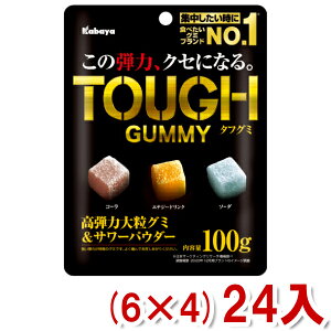 Jo 100g ^tO~ (6×4)24 (n[hO~ O~ e َq ii ̑i) ({B)