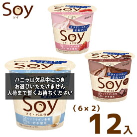 クラシエ SOY(6×2)12入 (ソイ 豆乳 アイス アイスクリーム 熨斗対応 母の日 父の日) (冷凍) (2つ選んで、本州一部冷凍送料無料)