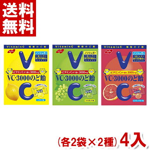 m[x VC-3000̂ǈ (2×2)4ܓ ( LfB)(|Cg)(np) (2IŃ[֑S)
