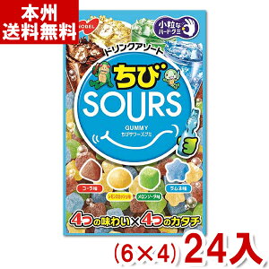 m[x SOURS (T[Y) hNA\[g 80g (6×4)24 (Y80) ({B)