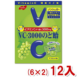 m[x 90g VC-3000̂ǈ }XJbg (6×2)12 (Y80) ({B)