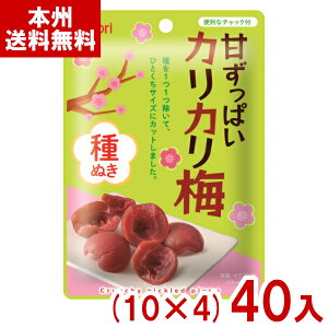 ȂƂ 22g Âς JJ~ ʂ (10×4)40 (⋋ 肩~  ݂͂ َq) (Y80) ({B)