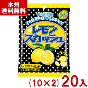 s 51g XJbVLfB  (10×2)20 ( َq  ii ʔ̔ ܂Ƃߔ) (Y80) ({B)
