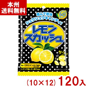 s 51g XJbVLfB  (10×12)120ܓ ( َq  ii ̑) (P[X̔)(Y14) ({B)