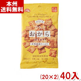 前田製菓 38g ひとくち カラッとおから (20×2)40入 (ケース販売)(Y10) (本州送料無料)