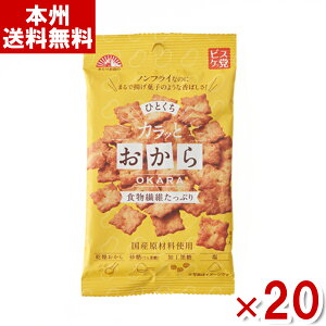 前田製菓 ひとくち カラッとおから 38g×20入 (おから クラッカー 小袋 お菓子 おやつ まとめ買い) (Y80) (本州送料無料)