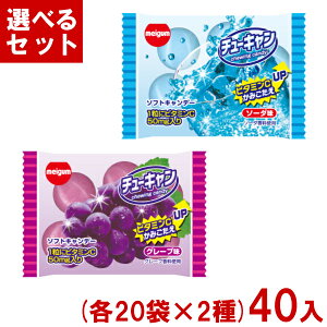 `[CK `[L (20×2)40 (ʉَq `[COLf[ \tgLfB) (Y80) (2IŖ{B)