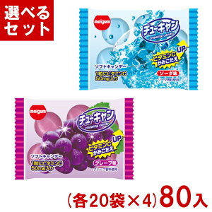 `[CK `[L (20×4)80 (ʉَq `[COLf[ \tgLfB) (Y80) (4IŖ{B)