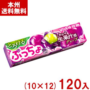 o 10 ՂXeBbN Ƃ낯O[v (10×12)120 (\tgLfB َq) (P[X̔)(Y80) ({B)