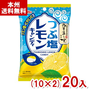 名糖 47g つぶ塩レモンキャンディ (10×2)20入 (塩分補給 熱中症対策 塩飴 お菓子 景品 まとめ買い) (Y80) (本州送料無料)