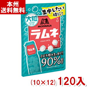 Xi 41g嗱l(10×12)120 (Y12)(P[X̔) (ʉَq uhE 90z) ({B)