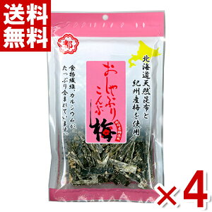 앨Y Ԃ荩z ~l(ߕl) 40g×4 (|Cg) (CP) (ܖ2026.5.16) ([֑S)