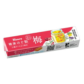 カンロ 健康のど飴 梅 スティックタイプ 11粒×10入 (健康梅のど飴)