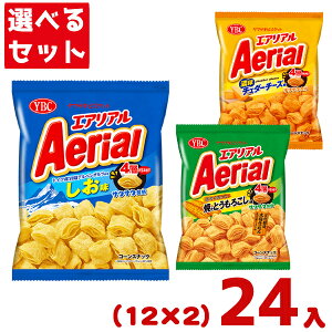 }ULrXPbg YBC GAA Aerial (12×2)24 (Y12) (2IŖ{B)