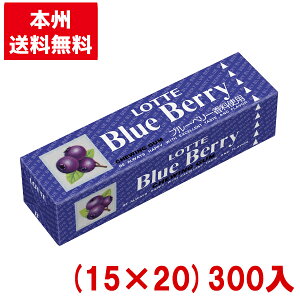 be ɂɂ u[x[K (15×20)300 (K)(P[X̔)(Y80) ({B)