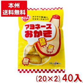 植垣米菓 マヨネーズおかき 45g (米菓)(本州送料無料)