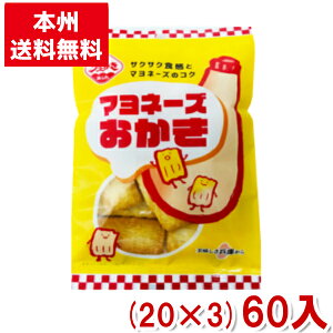 植垣米菓 マヨネーズおかき 45g (米菓)(本州送料無料)