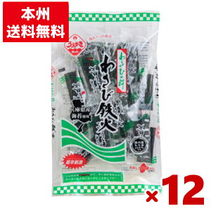 A_ĉ 킳ѓS 40g×12 (h   ĉ ܂ Tr َq ii) (P[X̔)(Y80) ({B)