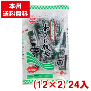 A_ĉ 킳ѓS 40g (12×2)24 (h   ĉ ܂) (P[X̔)(Y80) ({B)