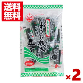 植垣米菓 わさび鉄火 40g×2袋セット (激辛 おかき あられ 米菓 おつまみ) (ポイント消化) (CP) (賞味期限2026.4.20) (メール便全国送料無料)