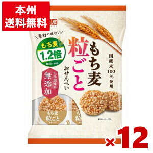 VT Ƃׂ 9×12 ( ĉ ݖ) (Y10)(P[X̔) ({B)