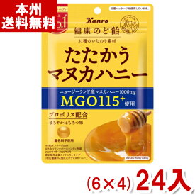 カンロ 80g 健康のど飴 たたかうマヌカハニー (6×4)24入 (Y80) (本州送料無料)