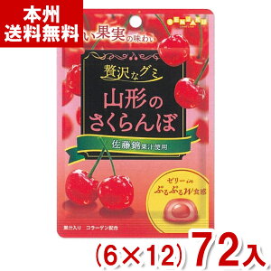 { 34g ґȃO~ R`̂ (6×12)72 (R`  O~ َq ii) (P[X̔)(Y10) (new) ({B)