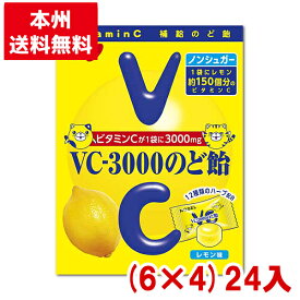 ノーベル 90g VC-3000のど飴 レモン (6×4)24袋入 (ノンシュガー キャンディ レモン 飴) (Y10) (本州送料無料)