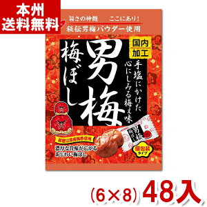 m[x 52g j~~ڂ (6×8)48 (j~ ~ ~ MǑ΍ ⋋  ) (P[X̔)(Y10) ({B)