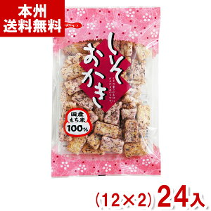 kz 70g  (12×2)24 (  ׂ ĉ Y َq) (Y12)(2P[X̔) ({B)