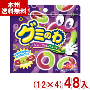 `[CK 22g O~̂ O[v}XJbg (12×4)48 (O~ ʉَq َq) (Y80)(new) ({B)