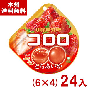 o 40g R Ƃ (6×4)24 (Ԍ   O~ َq  ii ܂Ƃߔ) (Y80) ({B)