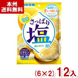 味覚糖 64g さっぱり塩飴 塩レモン味 (6×2)12入 (塩分補給 熱中症対策 キャンディ お菓子 大量) (Y80) (本州送料無料)