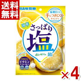 味覚糖 さっぱり塩飴 塩レモン味 64g×4袋 (塩分補給 お菓子) (ポイント消化) (CP)(賞味期限2025.3月末) (メール便全国送料無料)