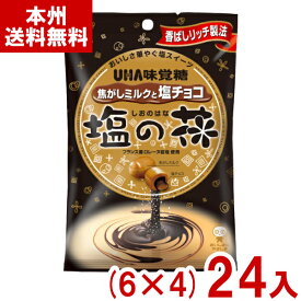 味覚糖 71g 塩の花 焦がしミルクと塩チョコ (6×4)24入 (キャンディ 飴 お菓子 景品 ばらまき まとめ買い) (Y80) (本州送料無料)