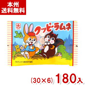 JN_C 11g Nbs[l (30×6)180ܓ (ʉَq َq l َq ii) (Y80) ({B)