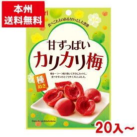 なとり 22g 甘ずっぱい カリカリ梅 (うめ 種ぬき はちみつ) (本州送料無料)