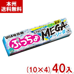 o ՂXeBbN XgOK\[_ (10×4)40 (MEGA \tgLfB َq) (Y60) ({B)