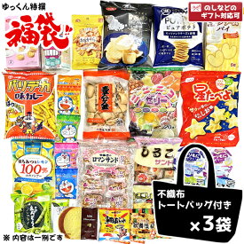 (お菓子福袋 Lサイズ×3袋) 詰め合わせ 約20点以上 ギフト対応 (最短当日出荷) (本州送料無料) (お祭り 花火大会 お盆 子供会 景品 販促 イベント 遠足 旅行 ノベルティ ギフト プレゼント パーティー)