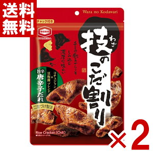 Tc Ẑ |hhq 100g×2ܓ (ŒZo) (|Cg) (CP) (ܖ2026.3.6) () ([֑S)