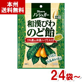 カンロ 80g ノンシュガー 和漢びわのど飴 (ノンシュガーキャンディ 砂糖不使用 飴 のどあめ お菓子) (本州送料無料)